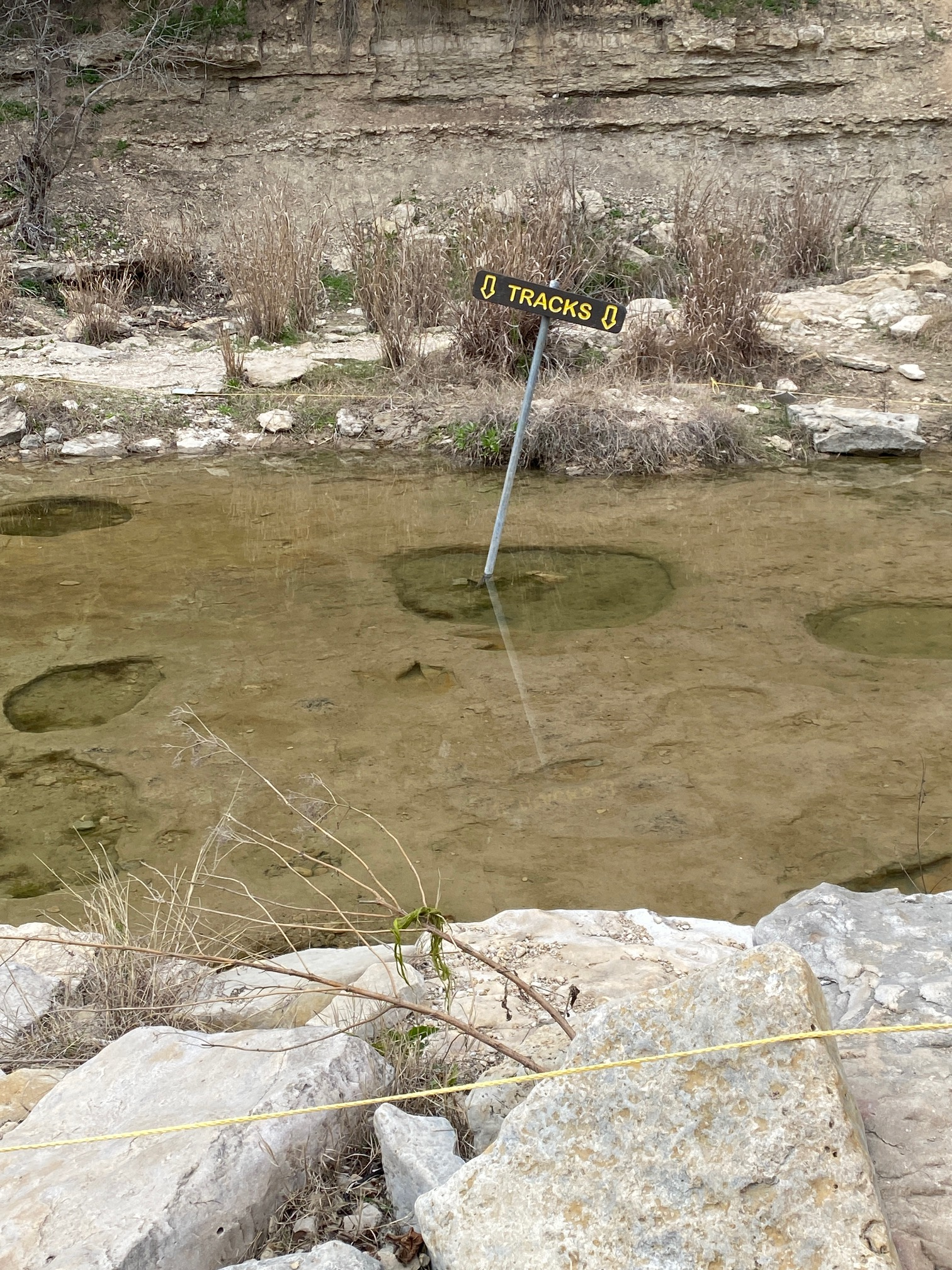 Best Texas State Parks for Camping with Kids