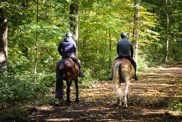 Best Texas State Parks for Horseback Riding